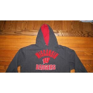 Wisconsin Badgers Mens XL Dark Gray Hoodie Sweatshirt Stitched Spell Out